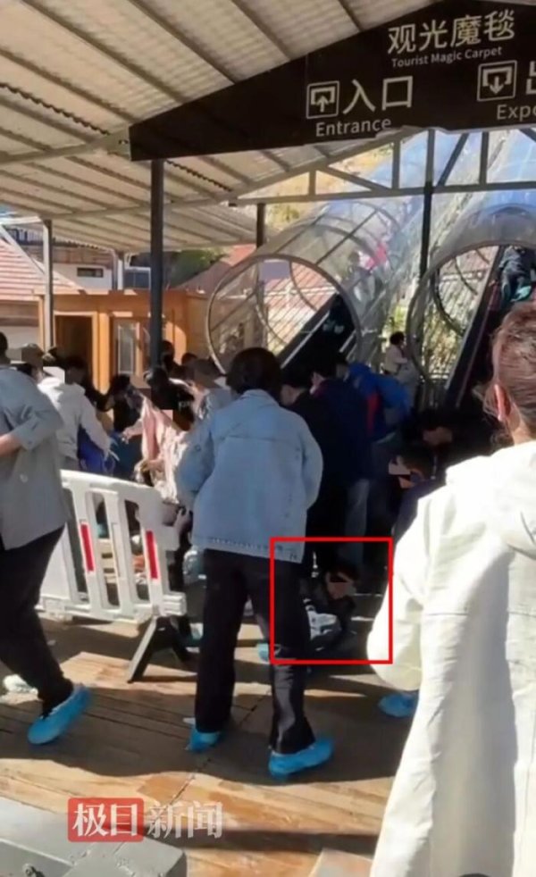 证配所 张家口一景区观光魔毯失控，多名游客被甩出，文旅局介入调查
