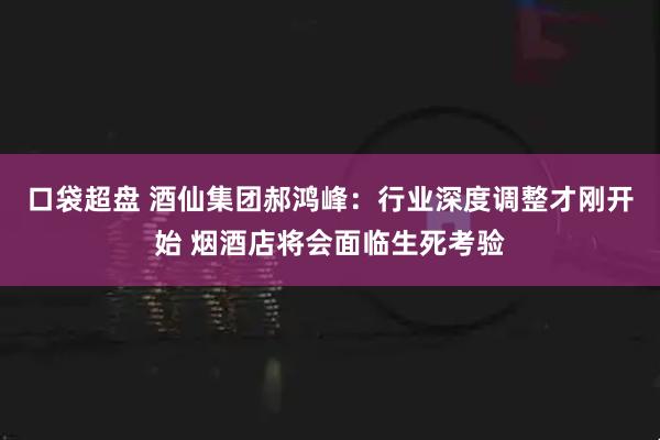 口袋超盘 酒仙集团郝鸿峰：行业深度调整才刚开始 烟酒店将会面临生死考验