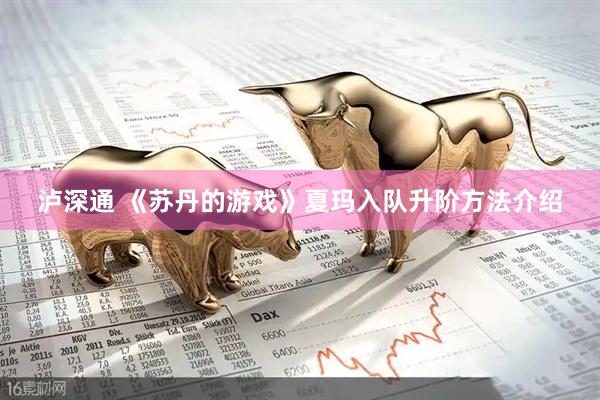 泸深通 《苏丹的游戏》夏玛入队升阶方法介绍