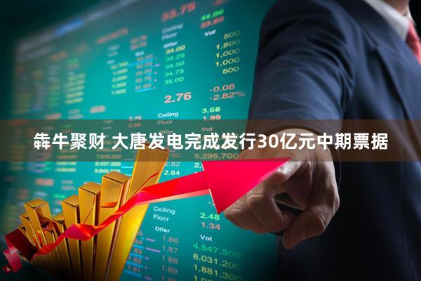 犇牛聚财 大唐发电完成发行30亿元中期票据