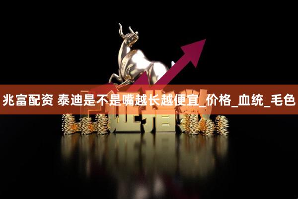 兆富配资 泰迪是不是嘴越长越便宜_价格_血统_毛色
