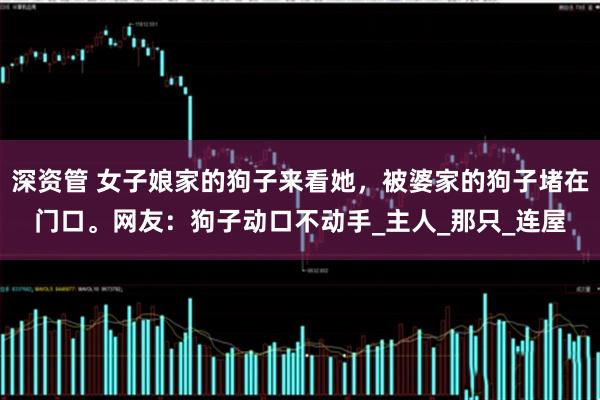 深资管 女子娘家的狗子来看她，被婆家的狗子堵在门口。网友：狗子动口不动手_主人_那只_连屋